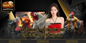 Đá Gà MAN79 – Hướng Dẫn Chơi Và Các Mẹo Cược Hiệu Quả
